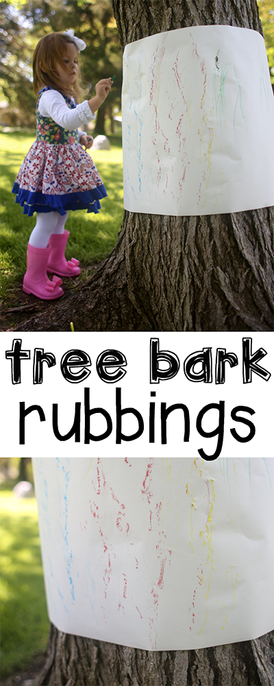 Tree-Bark-Rubbings Tree bark tracings