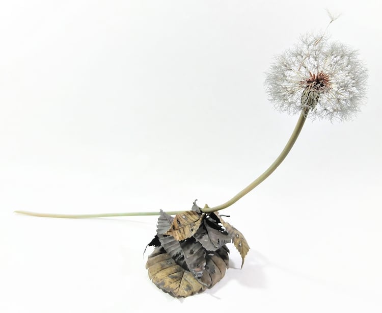 Metal Dandelion Sculpture