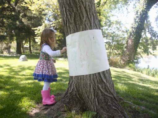 Outdoor Tree Bark Rubbings