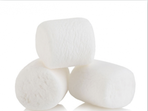 Don’t Eat the Marshmallows; How Marshmallows and Four-year-olds Predict Future Success