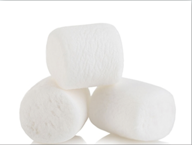 Don’t Eat the Marshmallows; How Marshmallows and Four-year-olds Predict Future Success